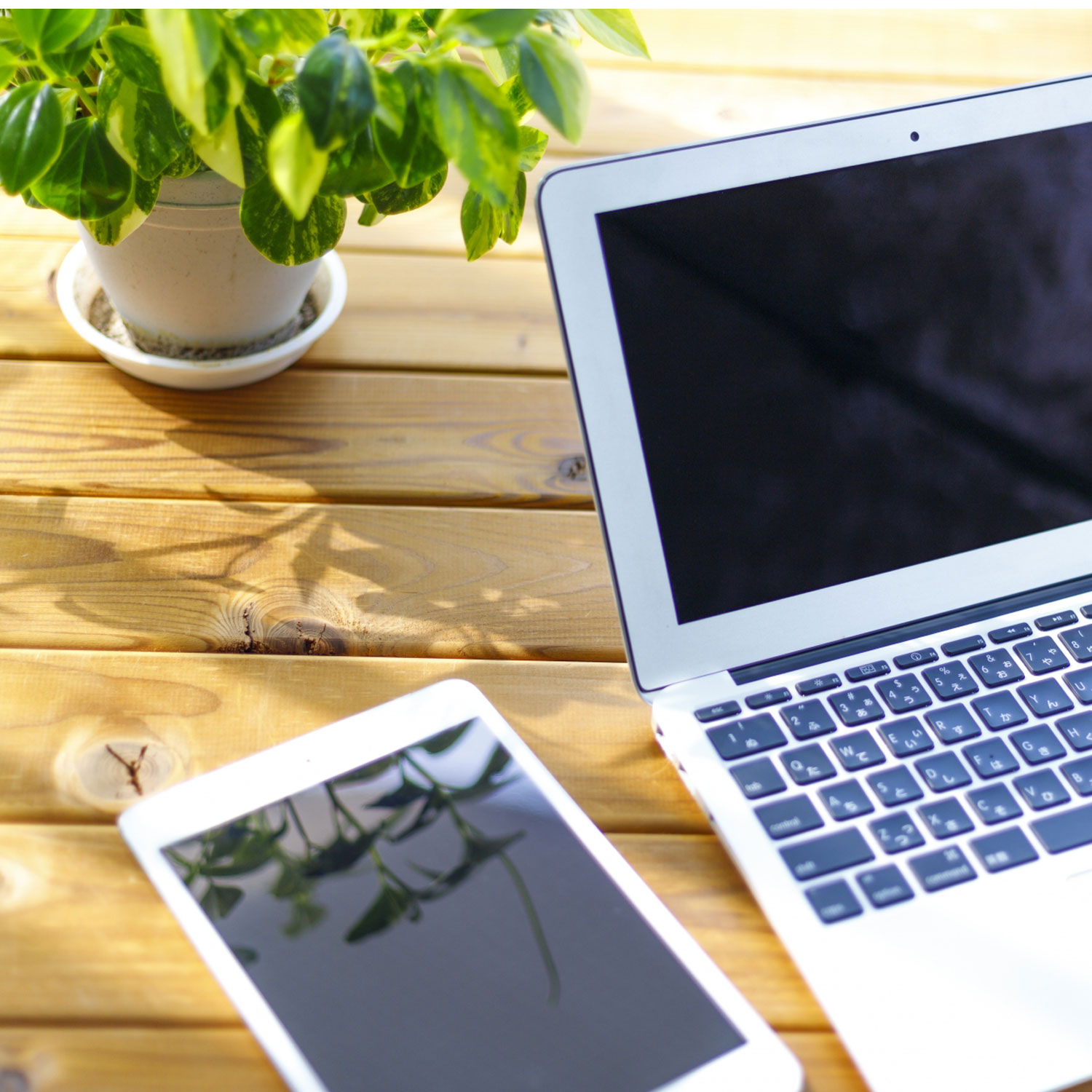 ITビジネス事業